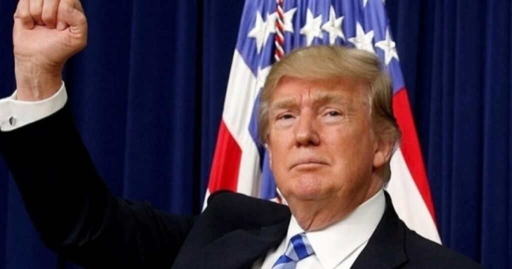 Maga A Portrait Of Donald Trump