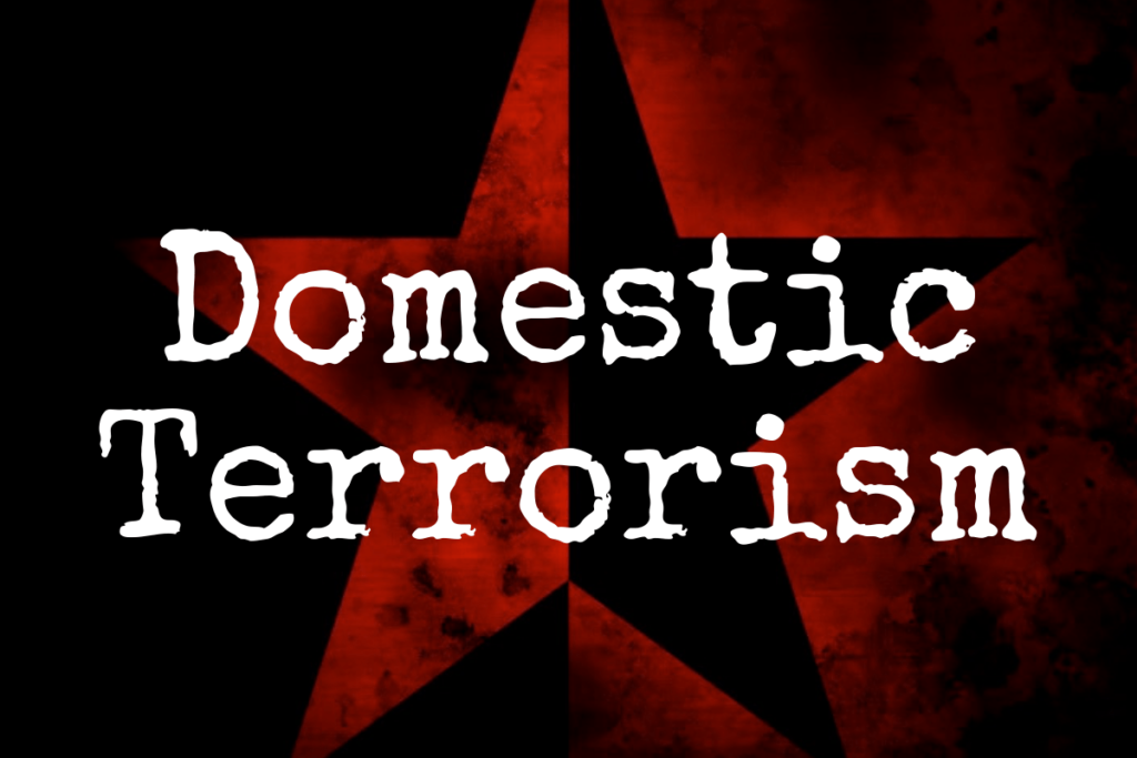 Maga Domestic Terrorism