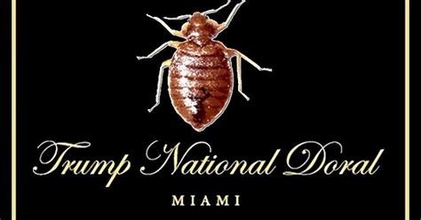 bed bugs as weapons